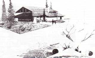 tmp782-18.jpg