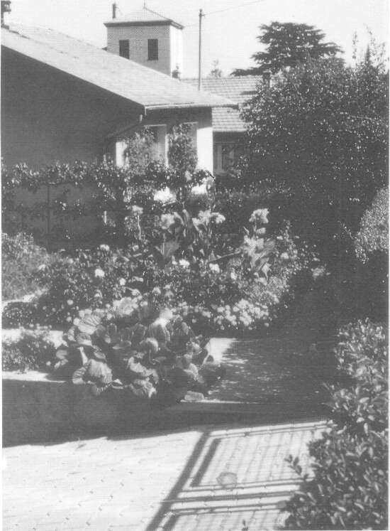 tmp271-39.jpg