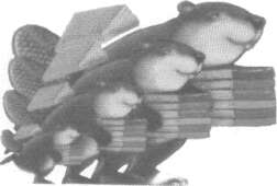 tmp271-97.jpg