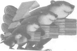 tmp379-56.jpg