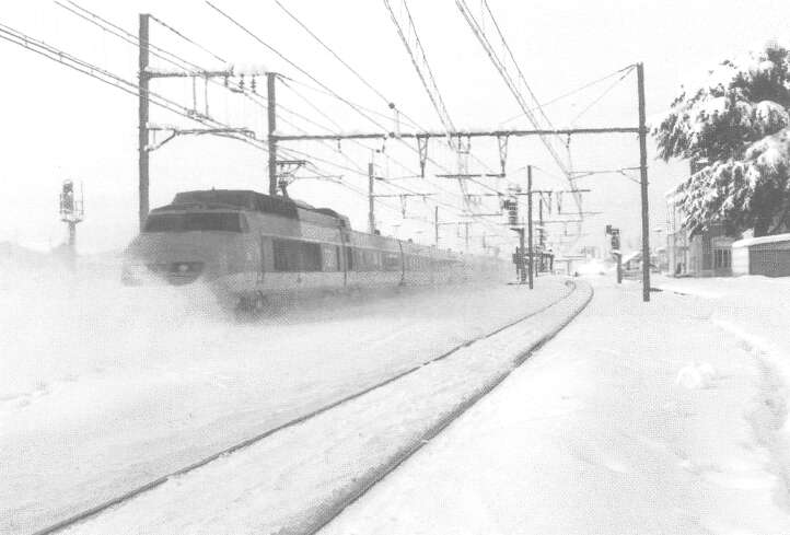 tmp20F-119.jpg