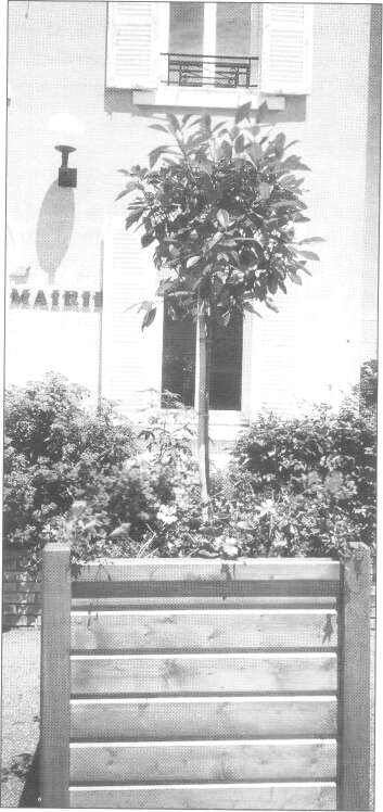 tmp2CF-86.jpg